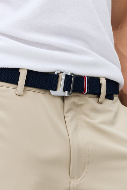 Sylvian belt